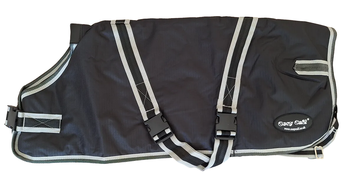 Calf wearing a black Cosy Calf jacket