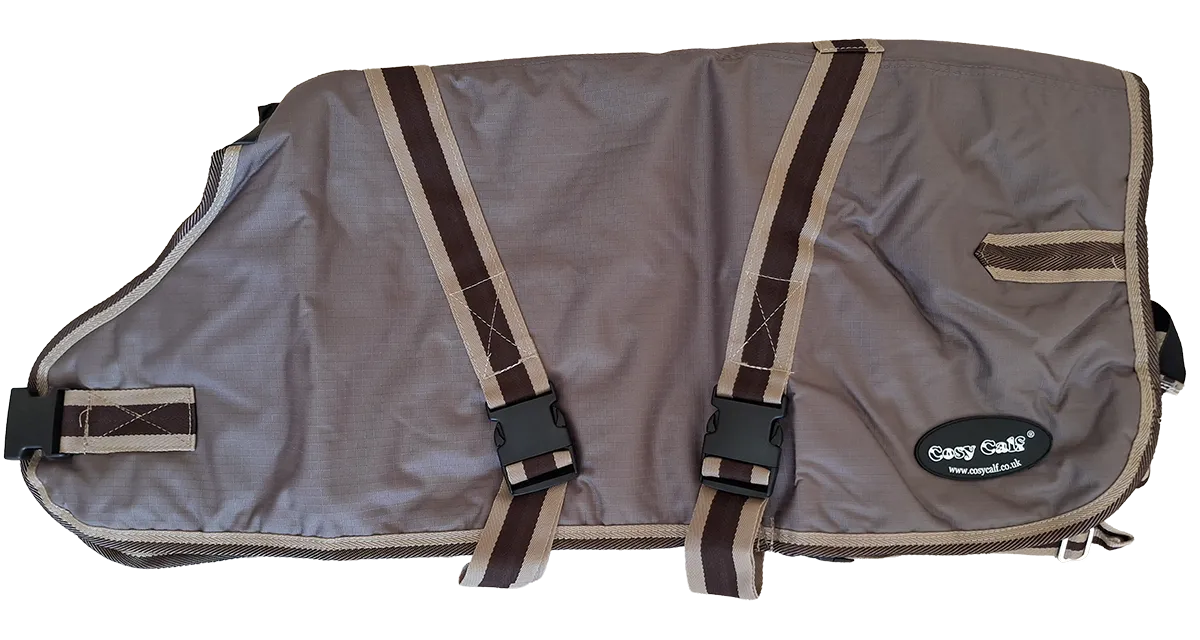 Calf wearing a brown Cosy Calf jacket